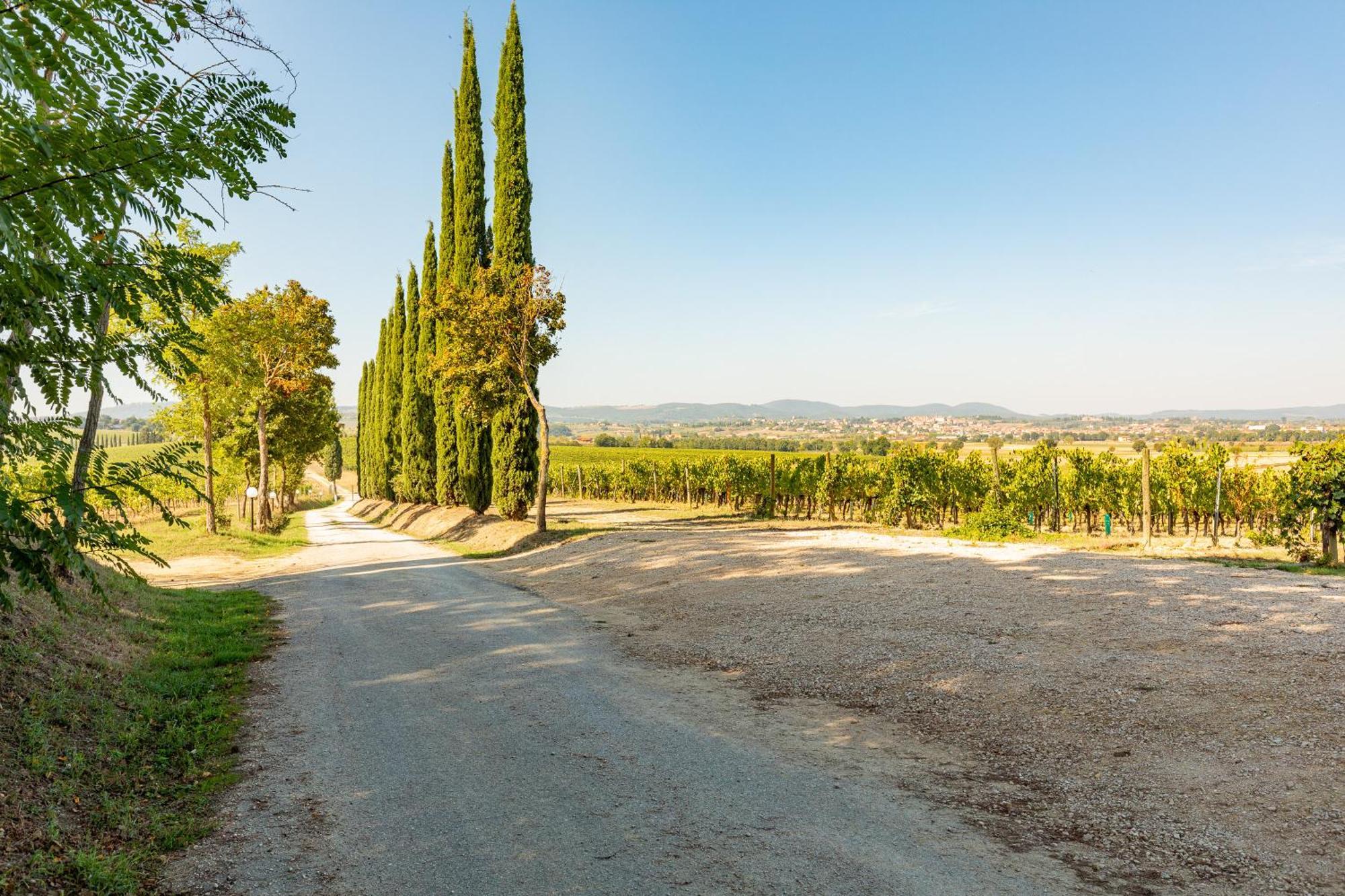 Appartamento Nobile Montepulciano Stazione エクステリア 写真