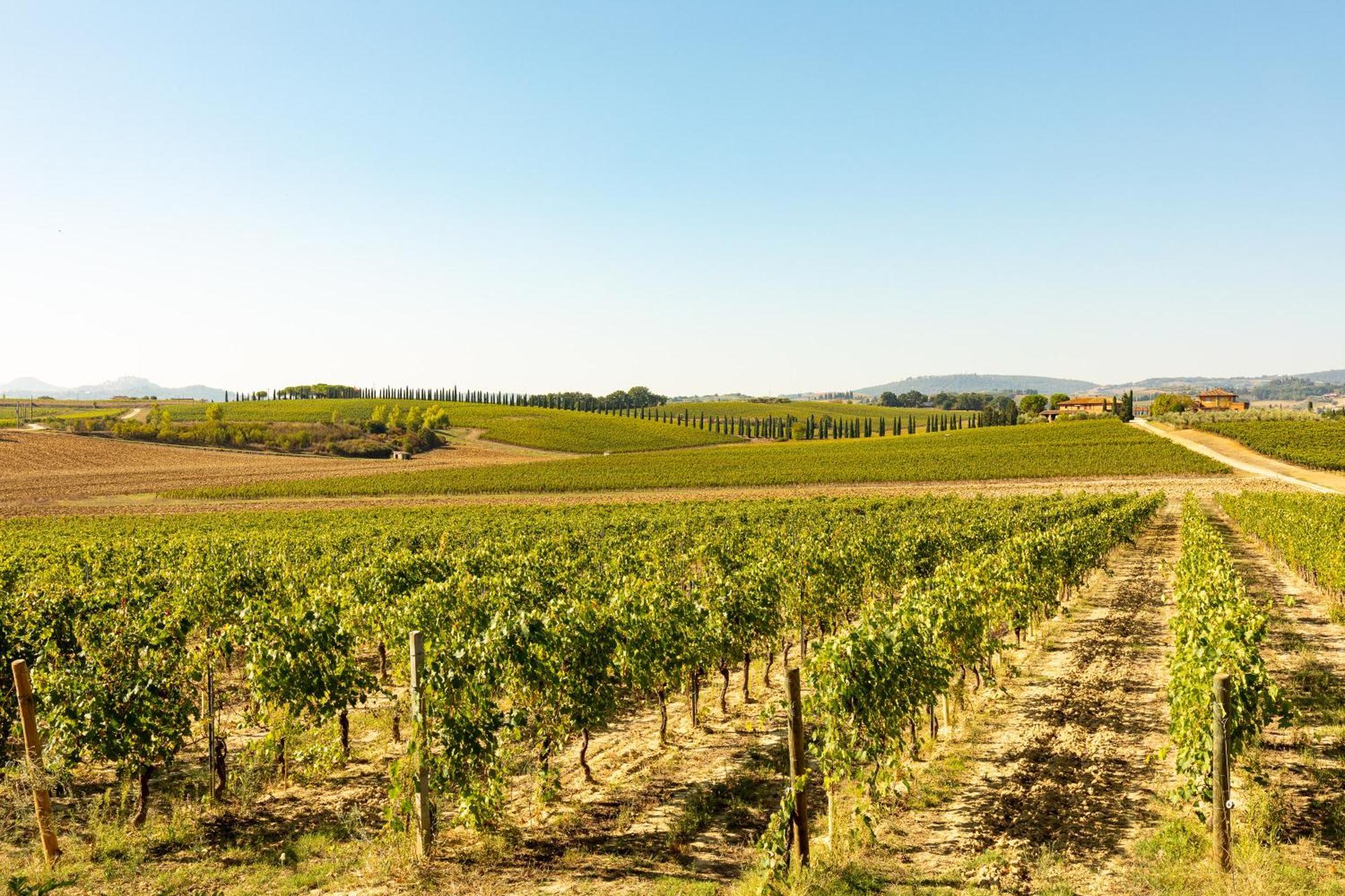 Appartamento Nobile Montepulciano Stazione エクステリア 写真